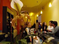 Hotel Schweizerhof - bar