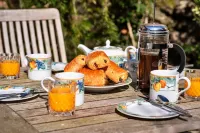 Cottage in Bovey Tracey Near Dartmoor Park