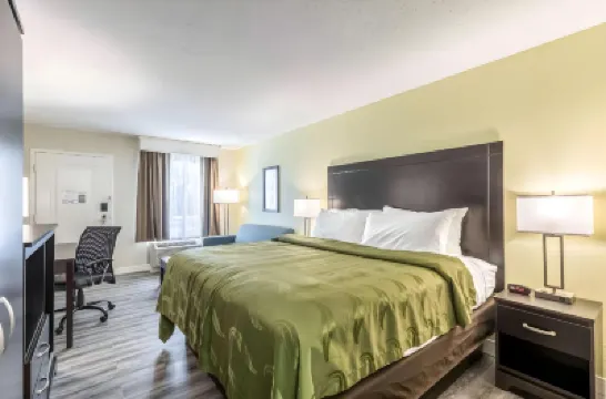 Quality Inn Palm Beach International Airport Hotels near Mounts Botanical Garden