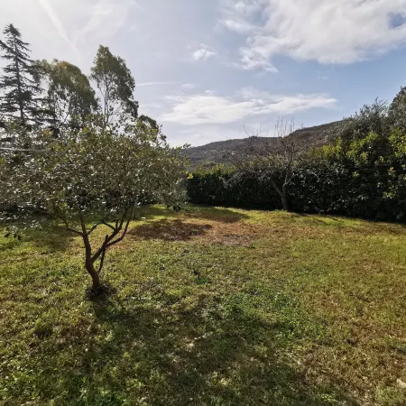 Bed & Breakfast Villa Flora
