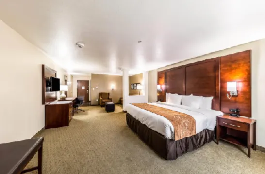 Comfort Suites Grand Prairie - Arlington North Hotels in Dallas County