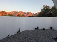 Private Desert Retreat with Oro Valley Mountain Views – Near Hiking & Golf - Bergblick