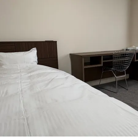 Business Hotel Irieso