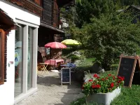 Alpia FlexiHomes Hotels in Grachen