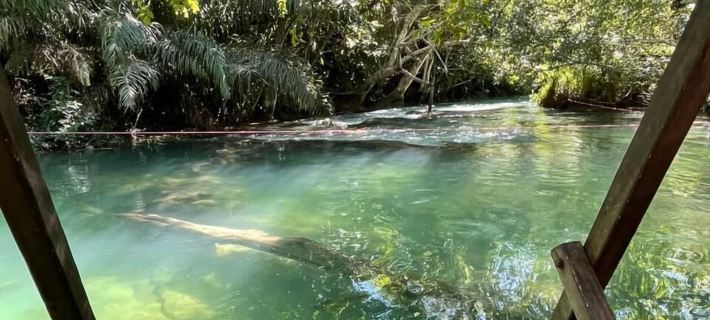Camping Rio Formoso LTDA Hotels in Bonito