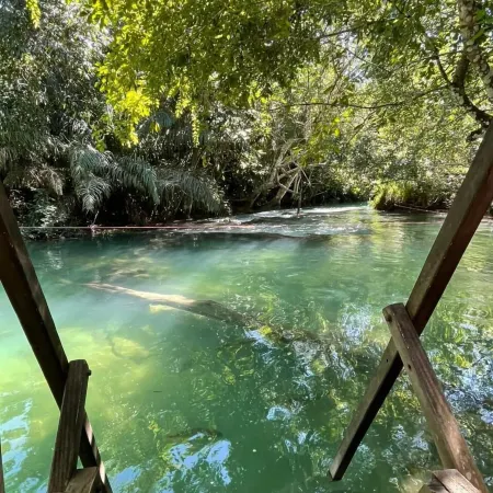 Camping Rio Formoso LTDA
