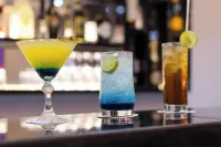 BON Hotel Conservation Lekki - بار
