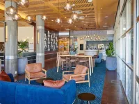 Novotel Tainui Hamilton - bar