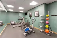Holiday Inn Express & Suites PALM COAST - I-95 by IHG - Gym