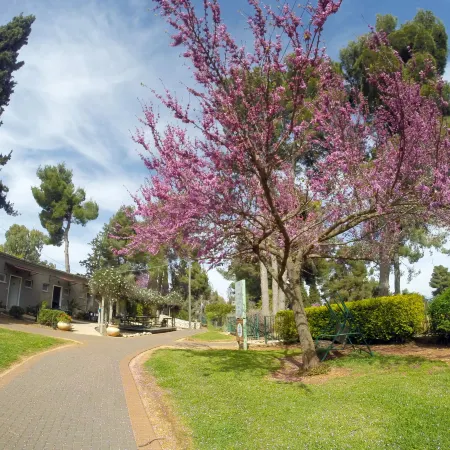 Kibbutz Malkiya Travel Hotel