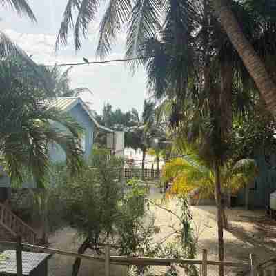 Gumbo Limbo - Seabreeze Apartment - Steps to the Ocean, Free Bikes, Free WiFi Hotel Exterior