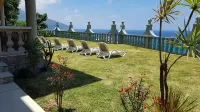 Calm Sorento - Wifi