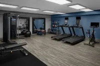 Hampton Inn Cleveland-Downtown - Træningscentre