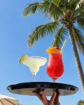 Colonial Palms Motor Inn - bar
