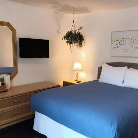The Cozy Inn