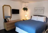 The Cozy Inn - acceptant les animaux
