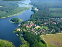 Seeschwalbe