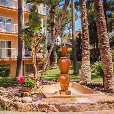 Valentin Reina Paguera - Adults Only Hotel Exterior