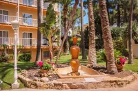 Valentin Reina Paguera - Adults Only Hotels in Peguera