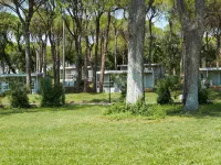 Adria Home (Gdo203)