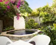 The Lovina - Hot Springs