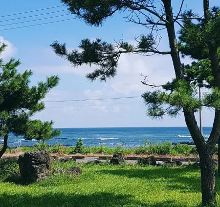 Seogwipo Wooribada Pension Отели рядом с достопримечательностью «Пляж Пёсон»