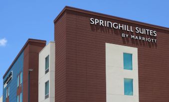 SpringHill Suites Texas City
