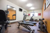 Comfort Suites Rochester Henrietta University Area - gimnasio