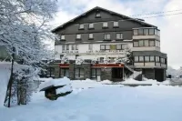 Hôtel du Lac Hotel di 