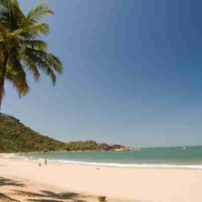 Jingle Tree Resort Fitness & Recreational Facilities