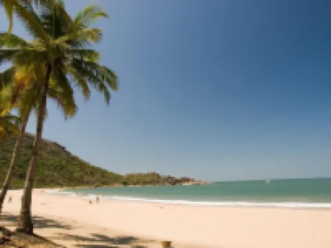 Jingle Tree Resort Hotels in Arambol