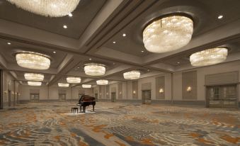 3. Hilton D..