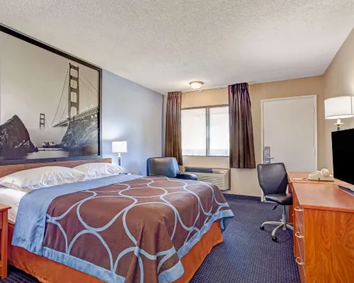Super 8 by Wyndham Albany Hotels in Albany