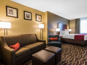 Comfort Suites Tampa Airport North