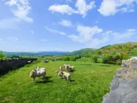 High House Hotels in Haverthwaite