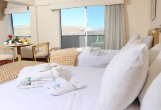 何塞安東尼奧普諾酒店 酒店