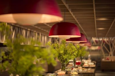 レストラン 星野リゾート 奥入瀬渓流ホテルの写真