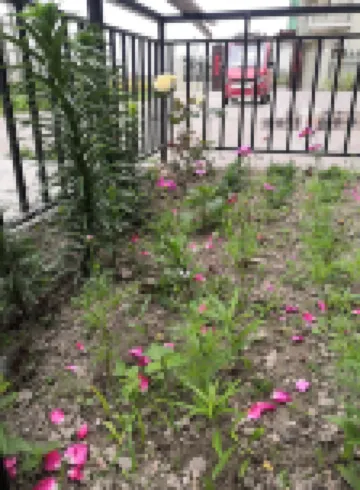 啟東落日邊別墅 鄰近呂四港風情區的酒店