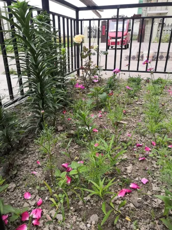 Qidong sunset side villa Отели рядом с достопримечательностью «Lvsigang»