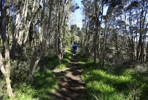 河濱步道住宿加早餐旅館