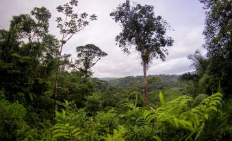 Tapirus Lodge and Reserve