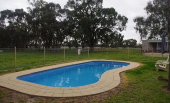 a backyard with a large blue swimming pool surrounded by grass , trees , and a fence at Deniliquin Pioneer Tourist Park
