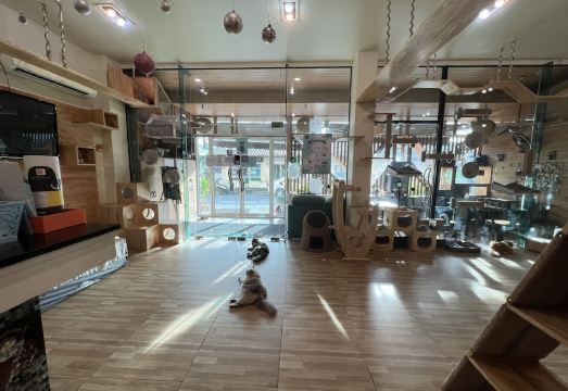 6. 캣 스토리 호텔..