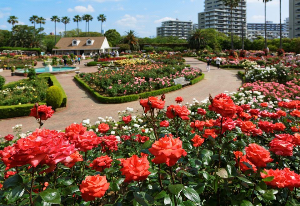 JR 이스트 호텔 메츠 쓰다누마