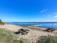 "Elissa" - 50m to the Fjord Hotels in Skive