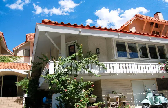 海鷗和我的愛犬酒店