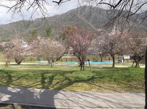 1. 코티지 원 히로..