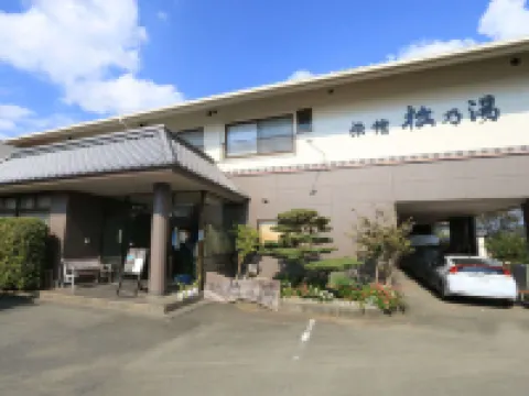 Ueki Onsen Hasshonoyado Ryokan Matsunoyu Hotel a 