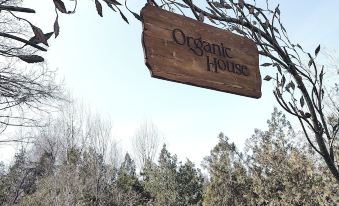 Organic House & Aquapark