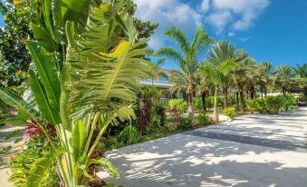 Penthouse 2Br 2BTH Apt w Rooftop Pool Near Beach